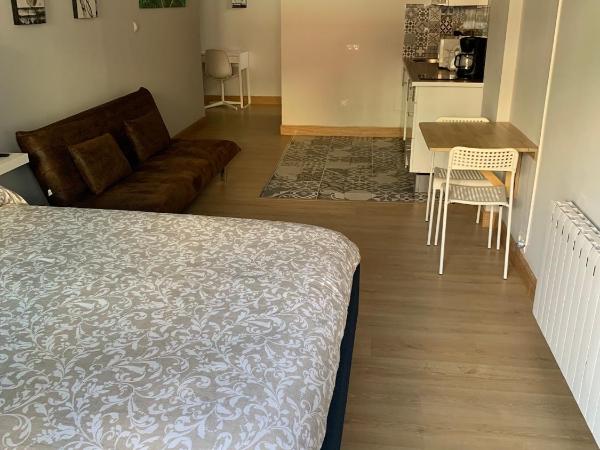 Estudios Bilbao Deusto : photo 5 de la chambre appartement