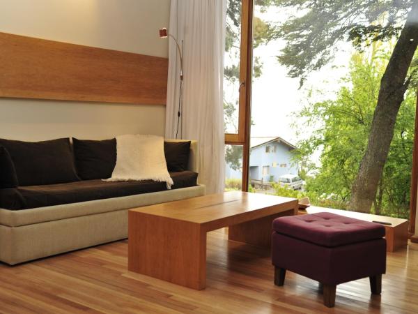 Design Suites Bariloche : photo 3 de la chambre studio avec canapé-lit