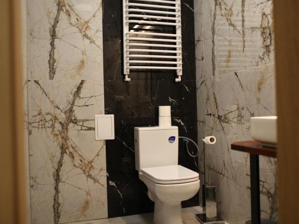 A&B Willa Klaudyny : photo 5 de la chambre appartement en duplex