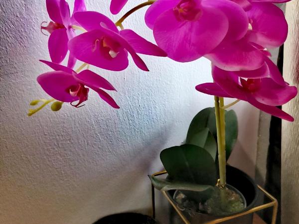 GH Great Homes : photo 3 de la chambre chambre double ou lits jumeaux - vue sur ville