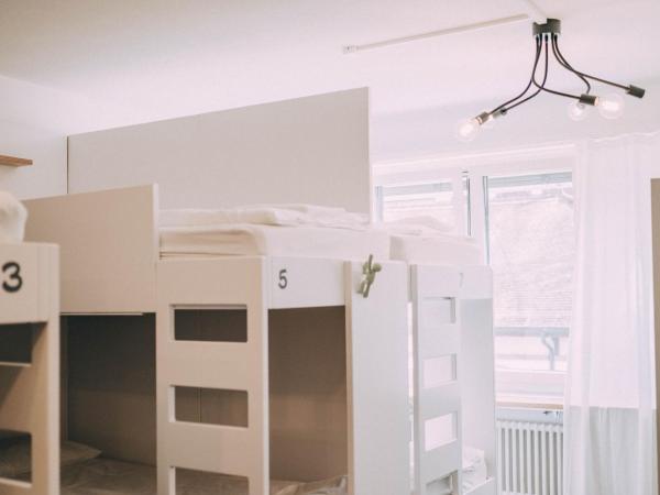 Hostel by Hyve Basel : photo 7 de la chambre lit dans dortoir mixte de 8 lits