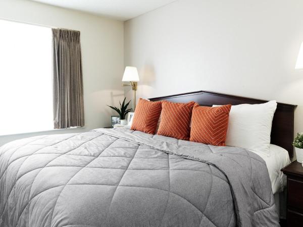InTown Suites Extended Stay Houston TX - Westchase : photo 1 de la chambre suite lit queen-size