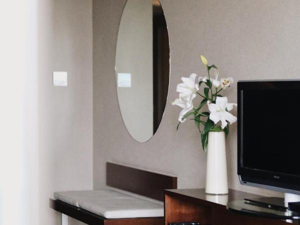 Hotel Madero Buenos Aires : photo 4 de la chambre chambre double ou lits jumeaux supérieure