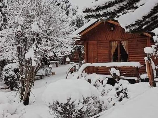 CABAÑAS MANOLO : photo 5 de la chambre appartement - vue sur jardin