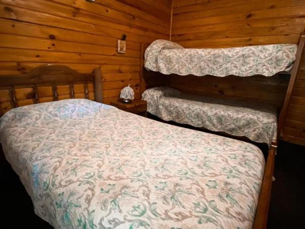 CABAÑAS MANOLO : photo 9 de la chambre appartement - vue sur jardin