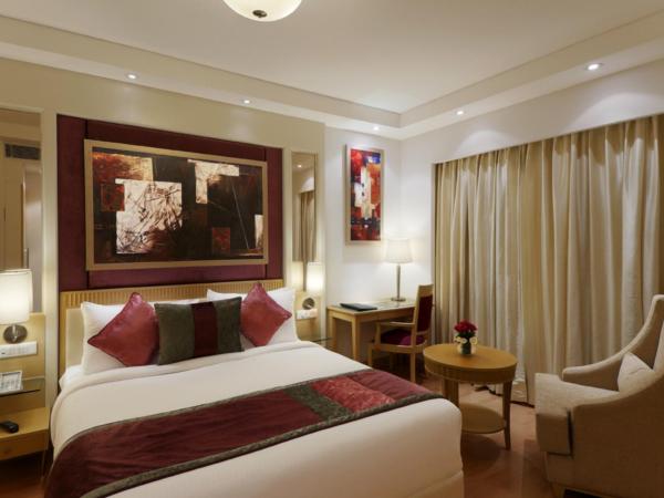 Inde Hotel Vista Woods Huda City Centre, Gurgaon : photo 5 de la chambre chambre double exécutive