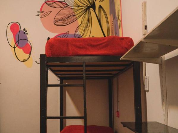 IDEAL SOCIAL Hostel : photo 4 de la chambre lit dans dortoir pour femmes de 6 lits