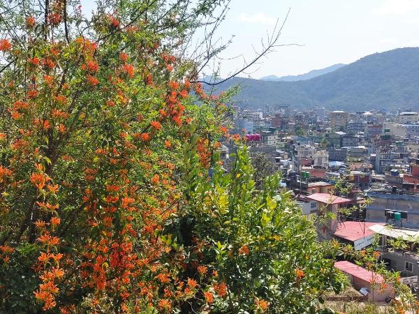 peace guesthouse cottage : photo 9 de la chambre chambre simple Économique