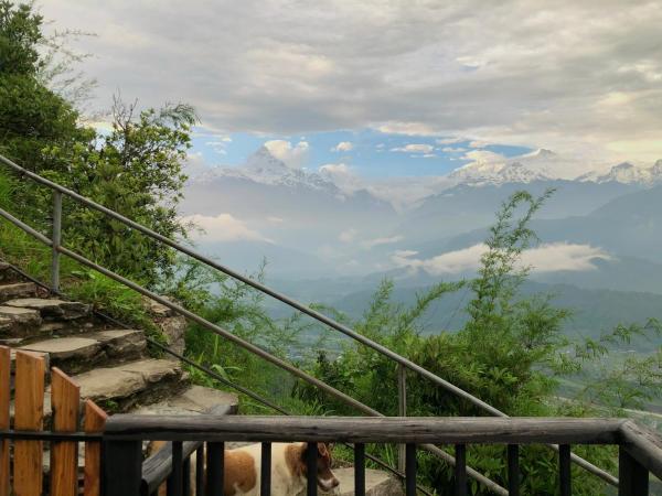 Bhanjyang Village Lodge : photo 2 de la chambre chambre double ou lits jumeaux