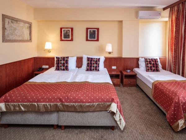 Hotel Charles : photo 3 de la chambre studio deluxe (3 adultes)