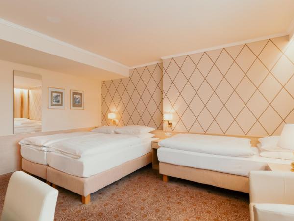 Hotel Scherer : photo 2 de la chambre chambre triple