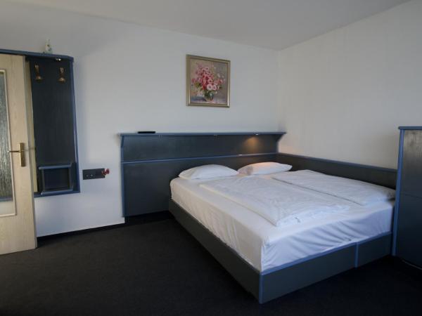 Hotel Merian : photo 4 de la chambre chambre familiale