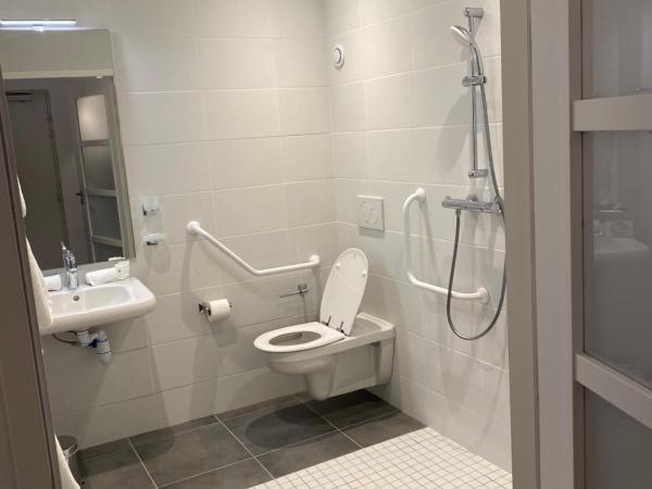 Hotel du Palais Dijon : photo 3 de la chambre anis room - ground floor - disability access