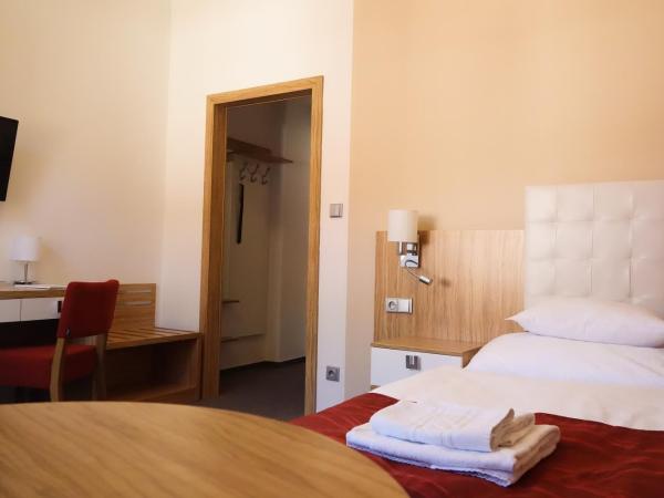 Hotel Astoria : photo 3 de la chambre chambre simple avec salle de bains privative