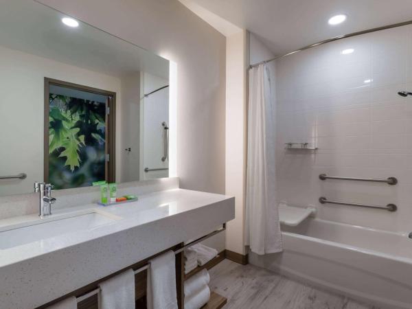 Wyndham Garden Orlando Airport - Free Airport Shuttle : photo 6 de la chambre chambre double pour personnes à mobilité réduite avec 2 lits queen-size et baignoire avec barres d'appui - non-fumeurs