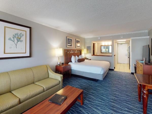 Dunes Village : photo 9 de la chambre studio king front de mer