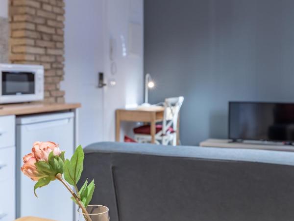 Apt with Antique Floor & lots of Sun Light : photo 10 de la chambre appartement deluxe