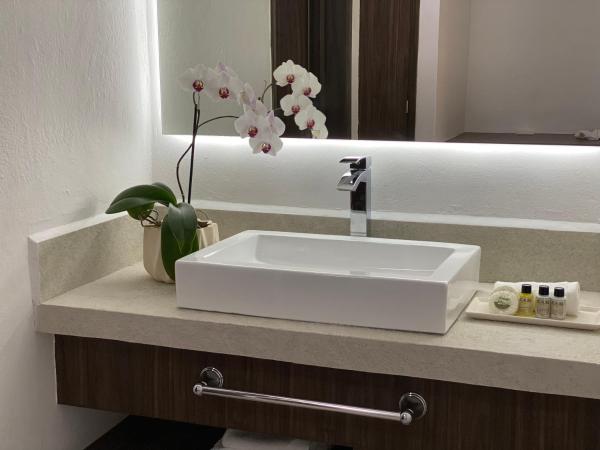 Hotel Marjaba : photo 7 de la chambre studio avec vue sur jardin