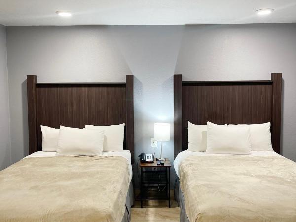 Celebration Suites : photo 2 de la chambre suite 3 chambres