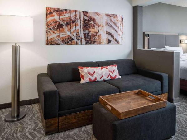 Sonesta Select Nashville Airport Suites : photo 1 de la chambre suite 2 lits doubles
