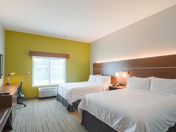 Holiday Inn Express Hotel & Suites Tampa-USF-Busch Gardens, an IHG Hotel : photo 1 de la chambre chambre standard