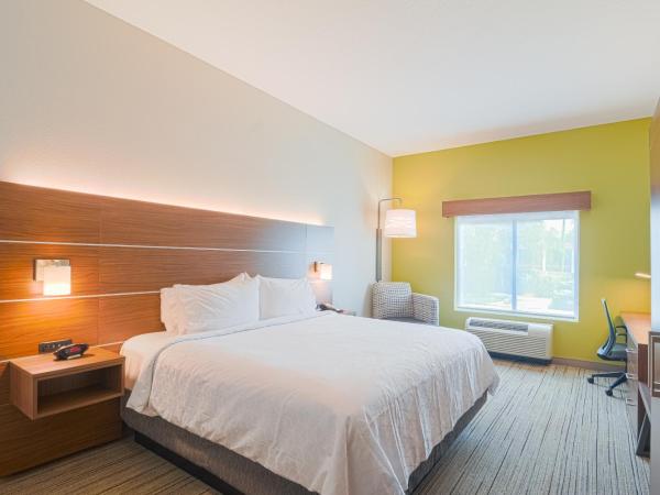 Holiday Inn Express Hotel & Suites Tampa-USF-Busch Gardens, an IHG Hotel : photo 1 de la chambre chambre lit king-size standard