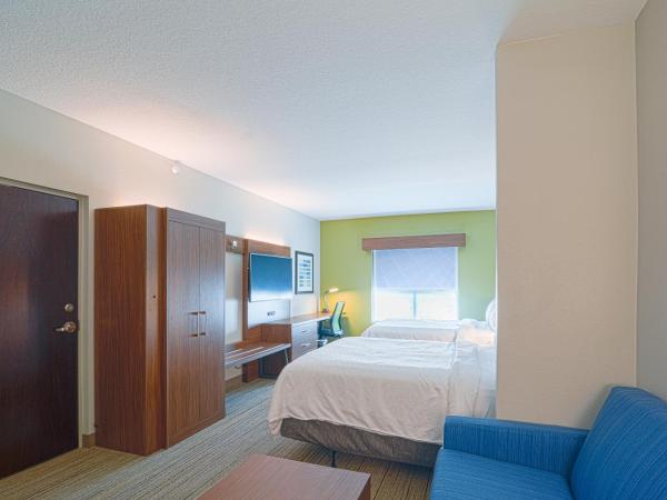 Holiday Inn Express Hotel & Suites Tampa-USF-Busch Gardens, an IHG Hotel : photo 1 de la chambre suite lit queen-size