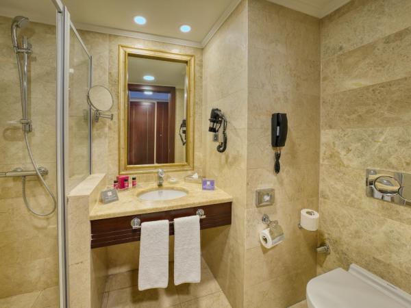 Crowne Plaza Istanbul - Old City, an IHG Hotel : photo 8 de la chambre chambre standard