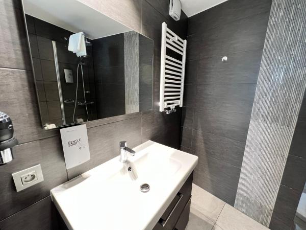 Best Western Hotel Royal Centre : photo 10 de la chambre chambre double avec 1 lit queen-size