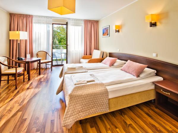 Olymp II : photo 4 de la chambre chambre lits jumeaux avec lit d’appoint - 301