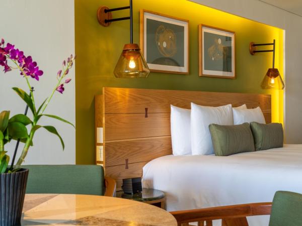 Presidente InterContinental Cozumel Resort & Spa, an IHG Hotel : photo 4 de la chambre premium king room with reef view - beach access