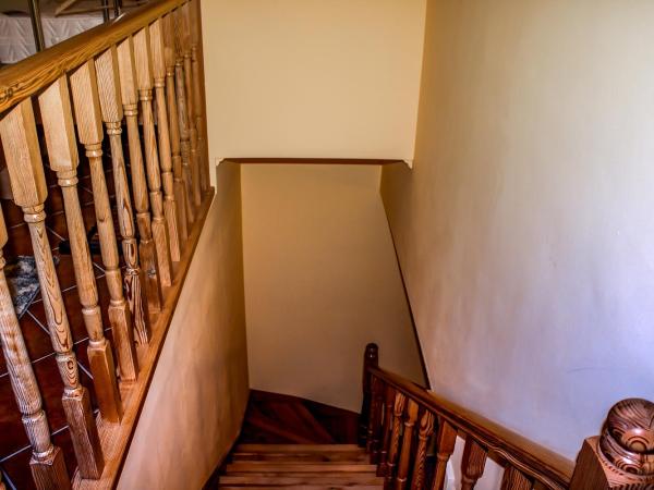 Nexus Vendégház Szeged : photo 6 de la chambre studio