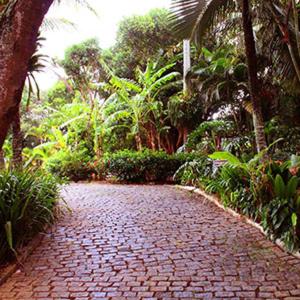 Departamento Dos reis : photo 4 de la chambre appartement - vue sur jardin