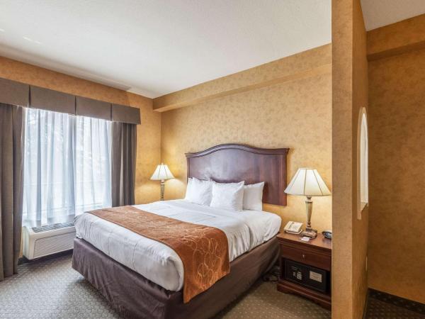 Comfort Suites Alamo Riverwalk : photo 3 de la chambre suite lit king-size avec canapé-lit - non-fumeurs