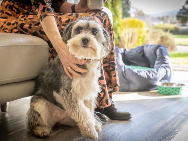 The Gleneagle River Apartments : photo 10 de la chambre appartement 2 chambres