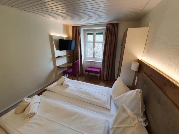 Waldhotel Unspunnen : photo 4 de la chambre chambre lits jumeaux standard