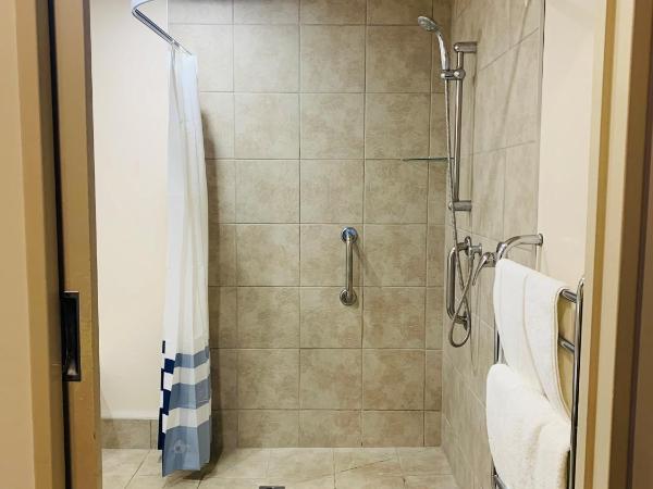 Southgate Motor Inn : photo 3 de la chambre suite 1 chambre