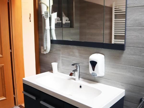 Gruyère Rooms : photo 8 de la chambre chambre double Économique avec fenêtre de toit