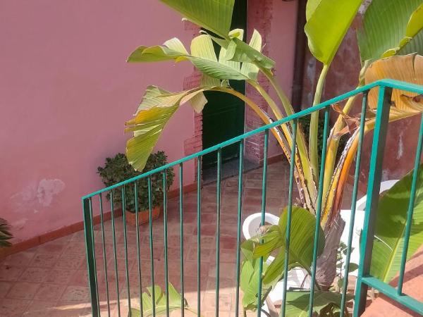 Hotel Villino Gallodoro : photo 5 de la chambre chambre double ou lits jumeaux Économique