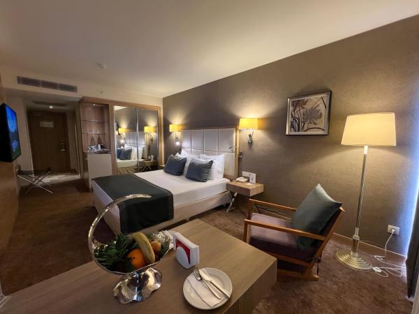 Kaya Izmir Thermal & Convention : photo 3 de la chambre chambre deluxe