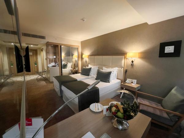 Kaya Izmir Thermal & Convention : photo 4 de la chambre chambre deluxe