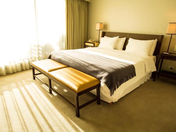 Libertad Hotel Buenos Aires : photo 8 de la chambre chambre supérieure exécutive