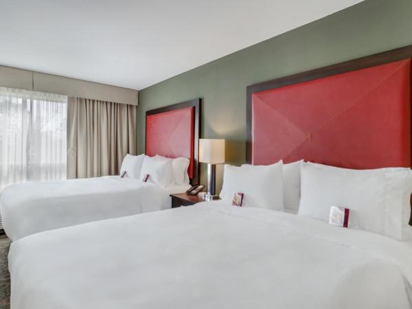 Crowne Plaza Houston Galleria Area, an IHG Hotel : photo 9 de la chambre suite 1 chambre avec 2 lits queen-size