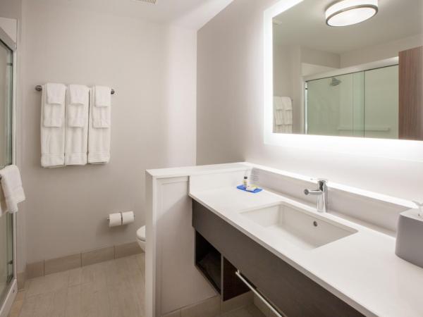 Holiday Inn Express & Suites - Houston - N Downtown, an IHG Hotel : photo 1 de la chambre chambre lit king-size standard