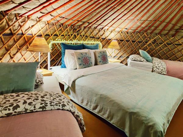 Shantee House : photo 3 de la chambre single bed in yurt (mixed dormitory)