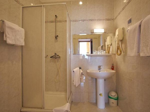 Hotel Vila Ružica- glavna zgrada i depandanse : photo 1 de la chambre chambre double ou lits jumeaux standard