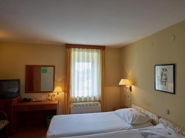 Hotel Vila Ružica- glavna zgrada i depandanse : photo 5 de la chambre chambre double ou lits jumeaux standard