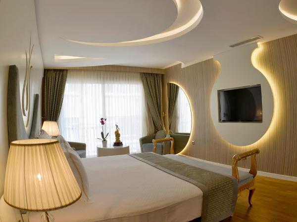 Arden City Hotel-Special Category : photo 3 de la chambre suite