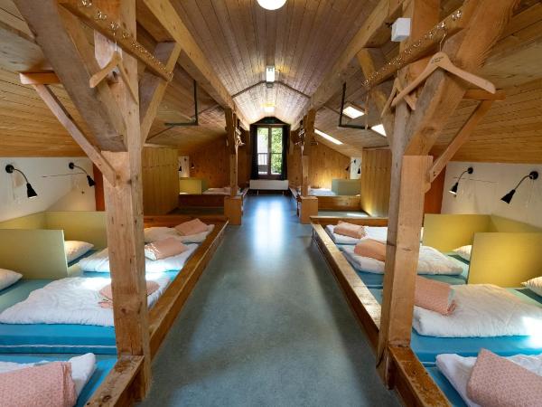 Brienz Youth Hostel : photo 3 de la chambre lit simple en dortoir