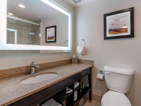 Best Western Premier Denver East : photo 4 de la chambre chambre avec 2 lits queen-size et balcon - vue sur piscine